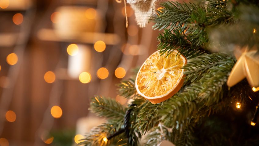 Eco-Friendly Holiday Tips