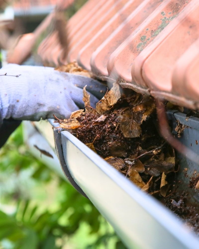 Gloved hand removing leaves and debris from a rain gutter during fall home maintenance