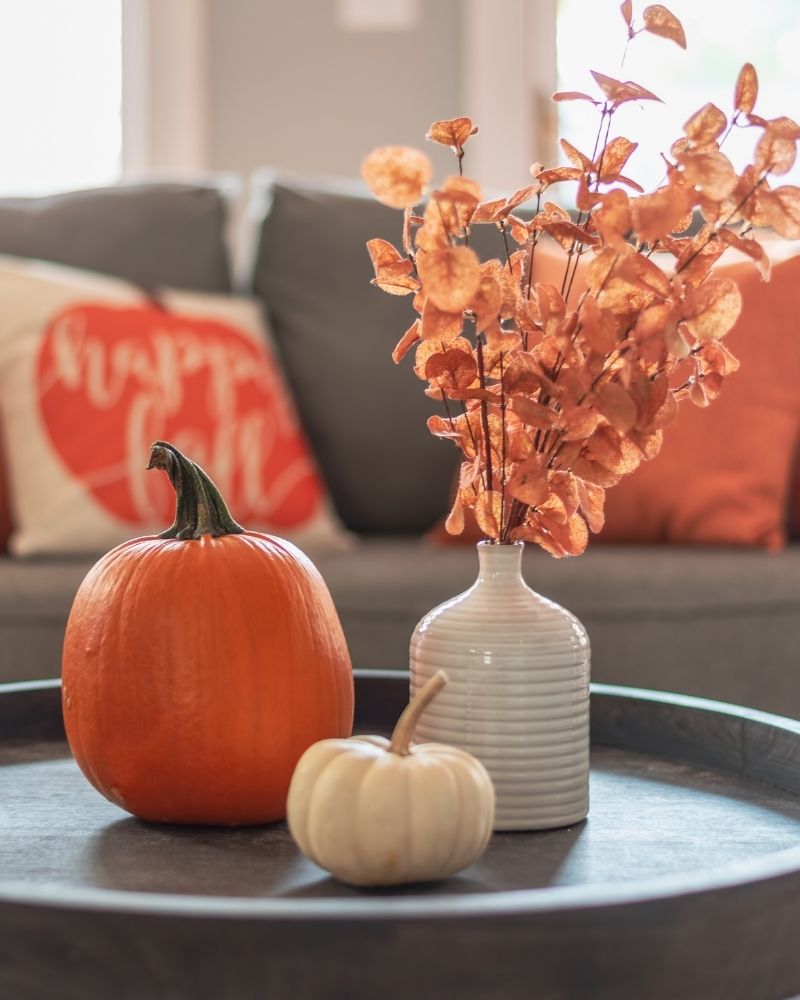 Pumpkins and dried fall foliage arranged on a coffee table for autumn decorating